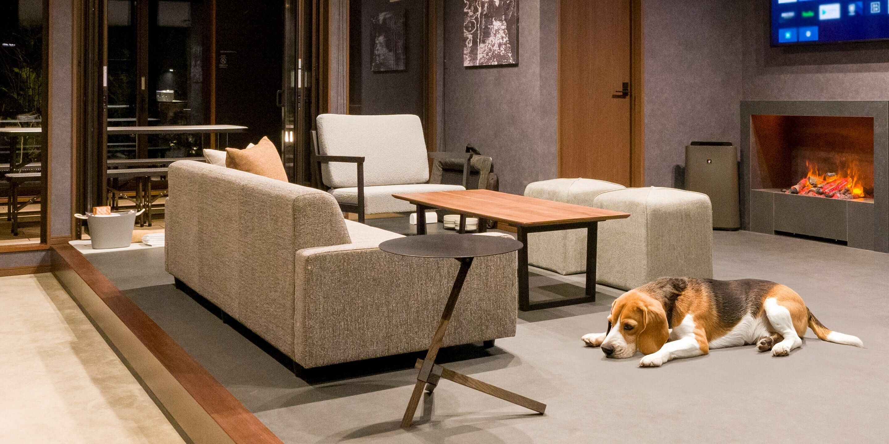 Una sala de estar moderna con un sofá, sillones, una mesa de centro y una chimenea.