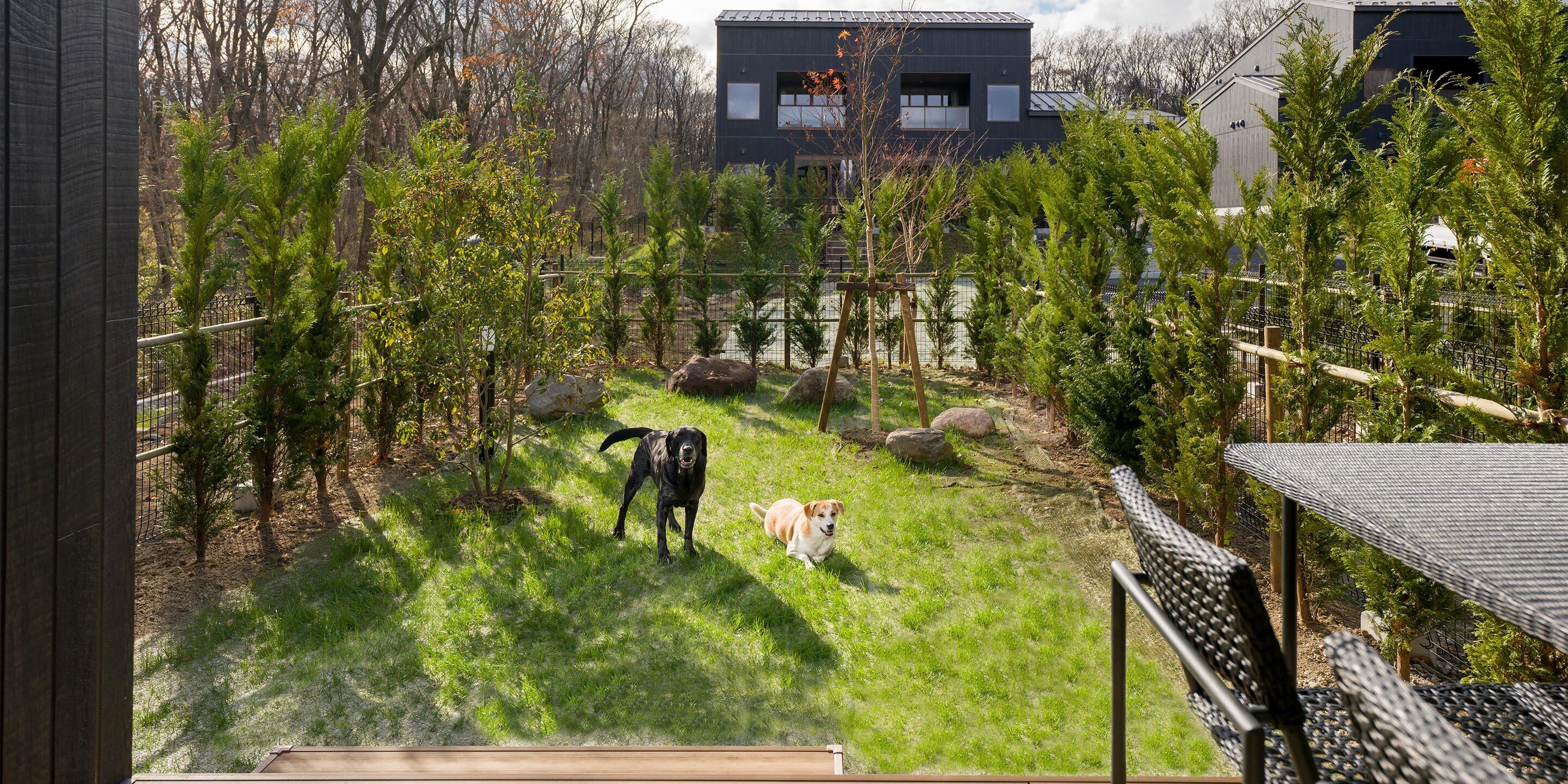 Rakuten STAY VILLA 那須 / [ペット同室可] 10名定員 禁煙 | 客室の設備とサービス