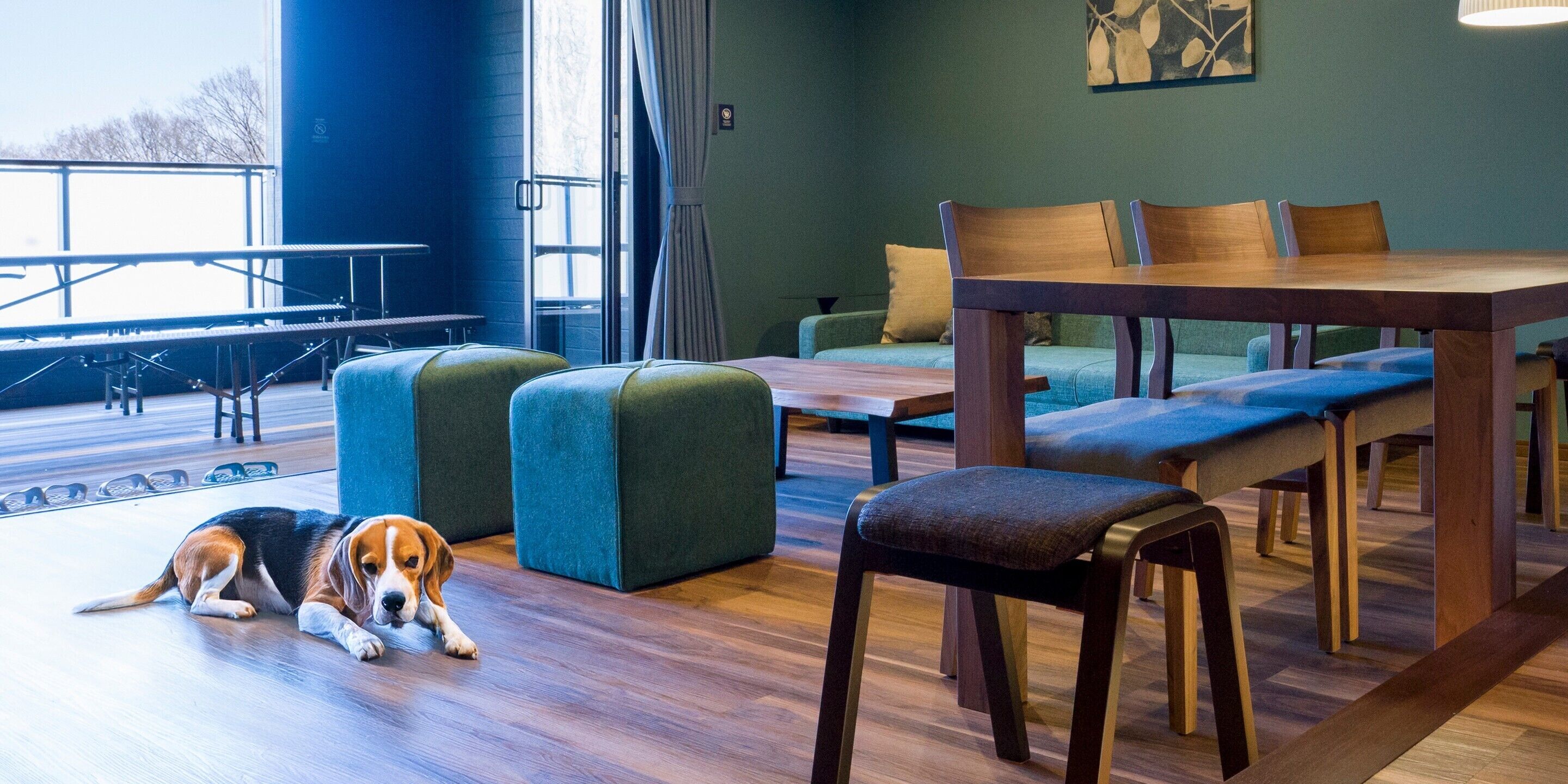 A cozy indoor space with a wooden table, cushioned seating, and a dog resting on the floor.