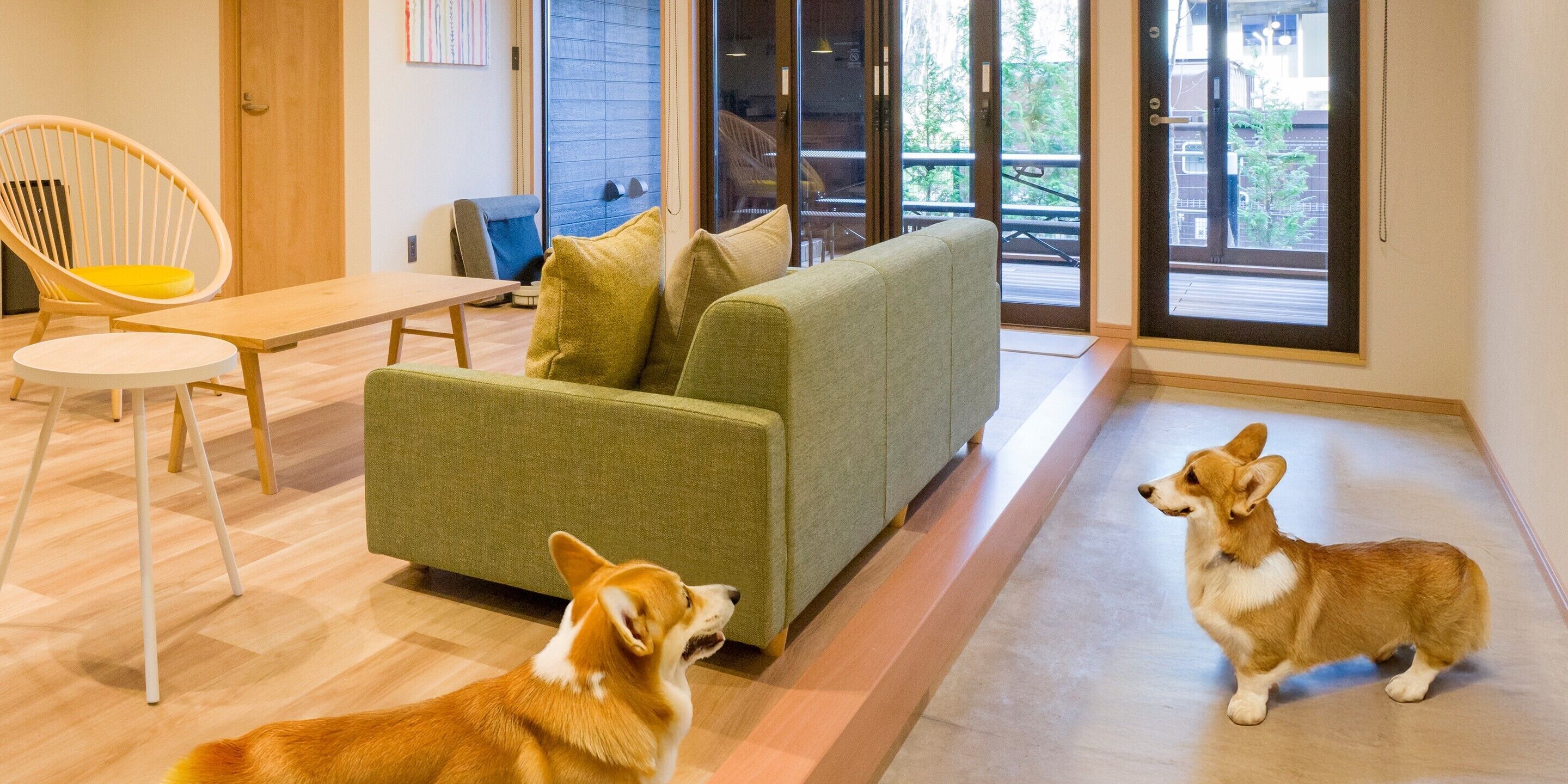 Habitación estándar, para no fumadores, se aceptan mascotas (Dog-friendly) | Área de sala de estar | Televisión de pantalla plana de 55 pulgadas con canales digitales 