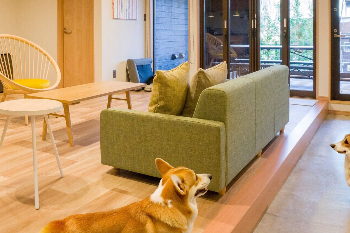 A room with a sofa, a chair, a table, and two dogs.