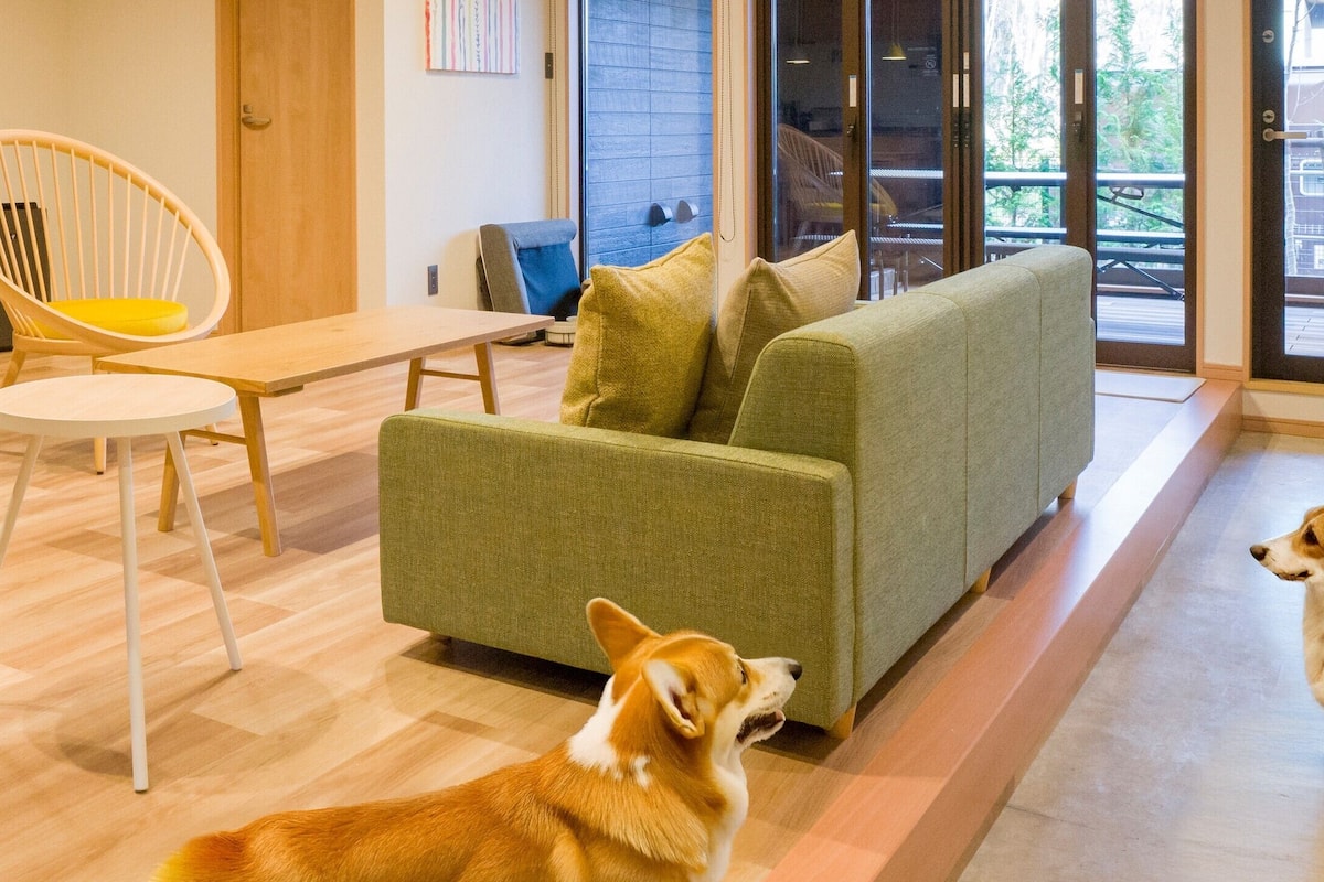 Habitación estĆ”ndar, para no fumadores, se aceptan mascotas (Dog-friendly) | Ćrea de sala de estar | Televisión de pantalla plana de 55 pulgadas con canales digitales