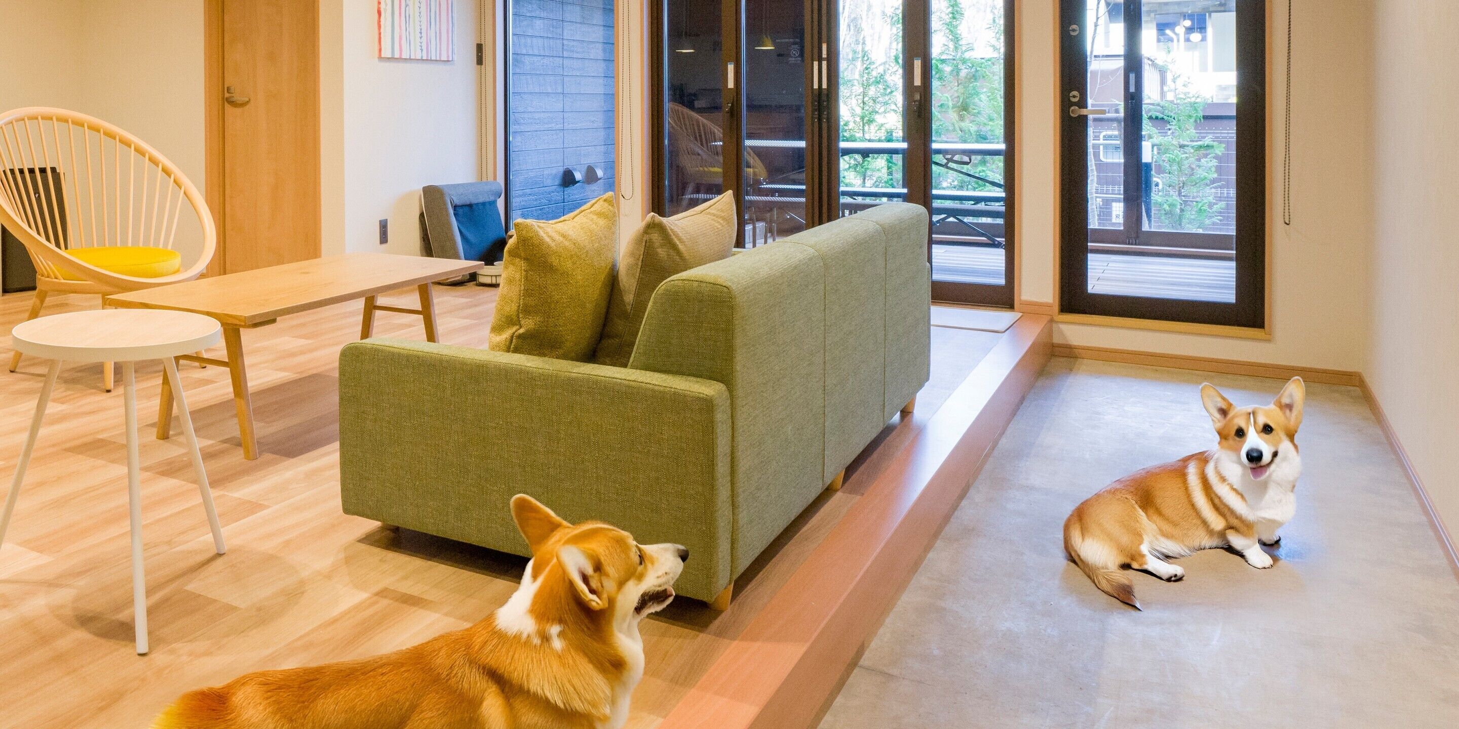 A room with a sofa, a chair, a table, and two dogs.