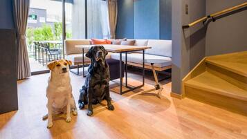 A modern interior with a wooden staircase, a sofa, and two dogs.