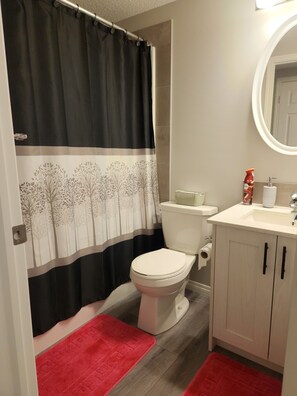 Combined shower/bathtub, hair dryer, towels, soap
