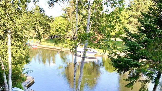 Ein ruhiger Außenbereich mit Teich, umgeben von Bäumen und einer Terrasse mit Sitzgelegenheiten.
