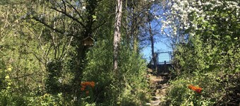 Renovierte Holz-lehmhütte mit Bestandschutz im Naturschutzgebiet