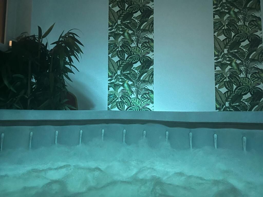 A room with a bed, a wall with a tropical leaf pattern, and a plant on the left.