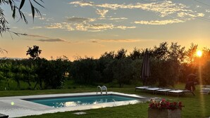A rectangular swimming pool with a ladder, surrounded by a grassy area, with a hedge and a potted plant in the foreground. - Villa in the heart of Tuscany (Rigutino)