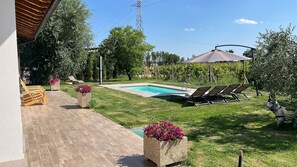 Outdoor pool - Villa in the heart of Tuscany (Rigutino)