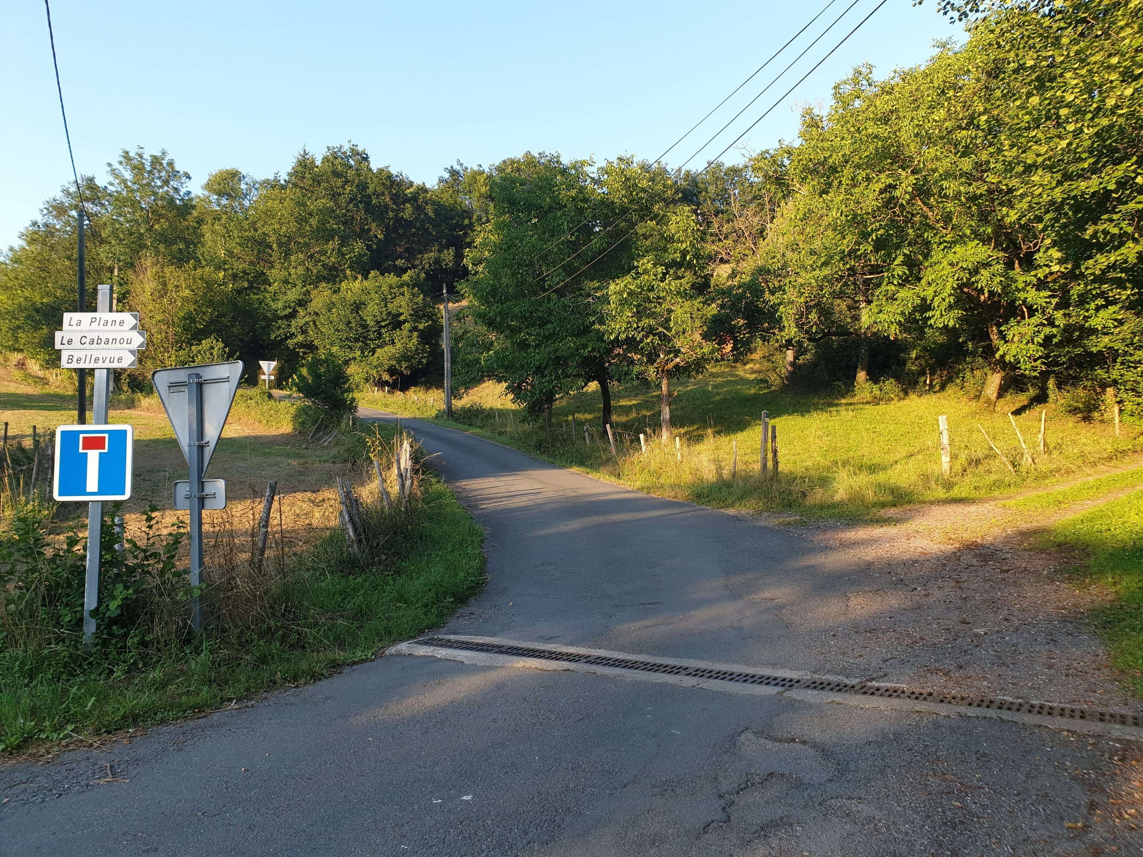 A rural road with directional signs and a yield sign.