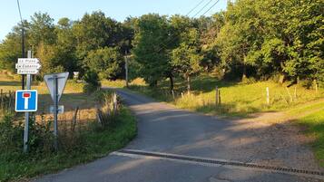 A rural road with directional signs and a yield sign.