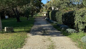 Un sentiero sterrato in un parco, fiancheggiato da alberi e arbusti.