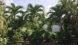Terrain de l’hébergement