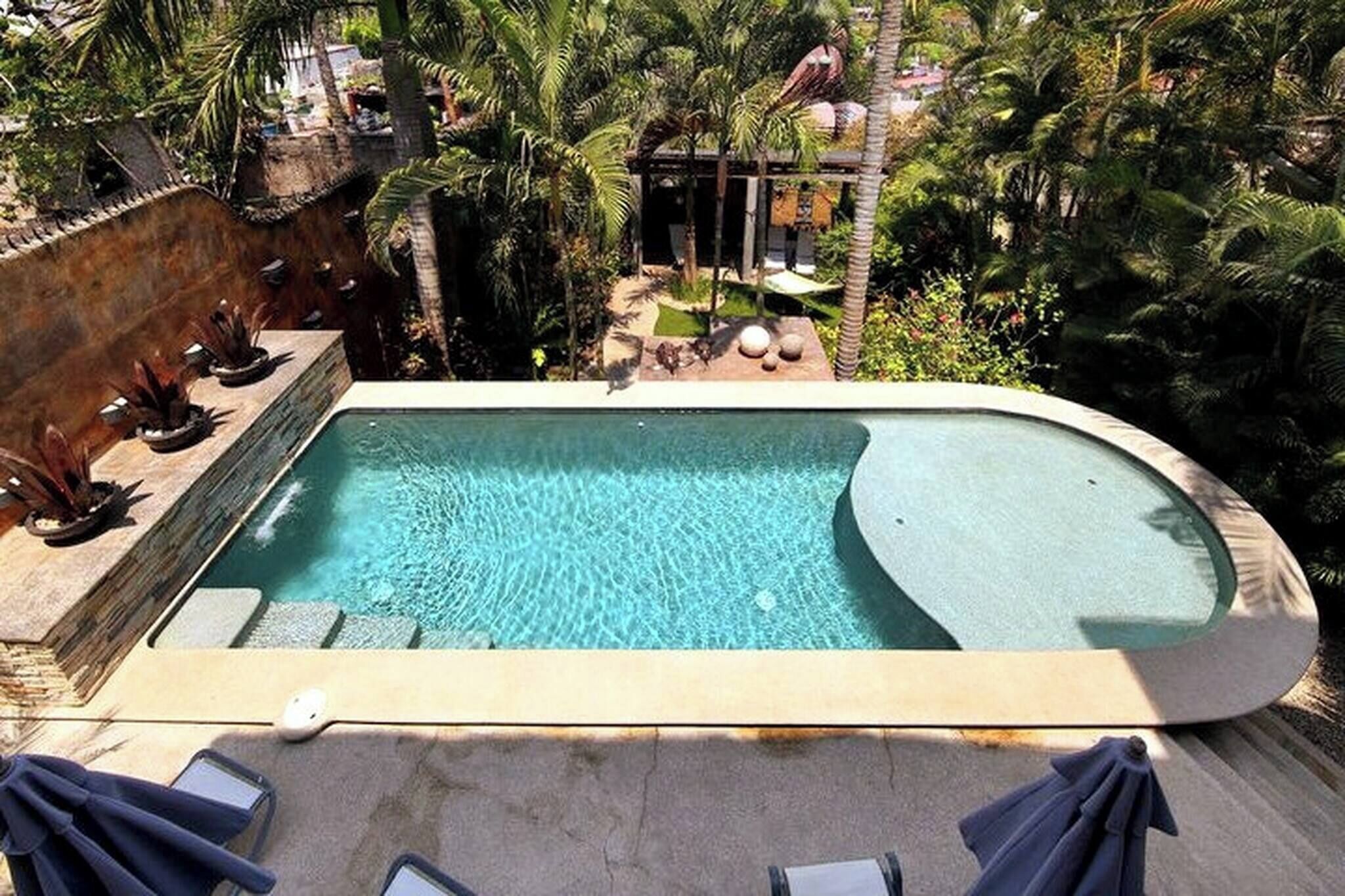 Una piscina rectangular con borde curvo, rodeada por un muro de piedra y palmeras.