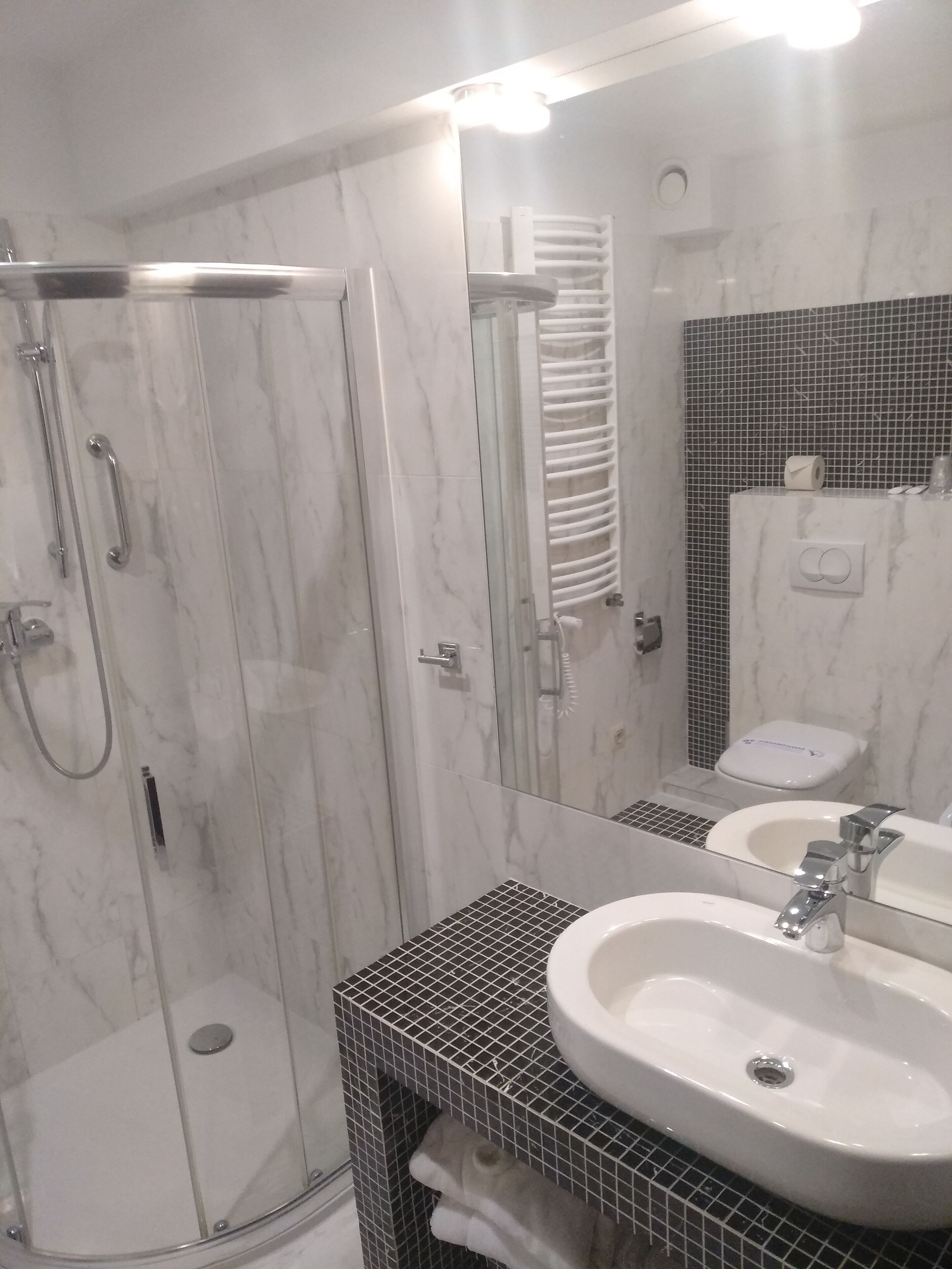 A modern bathroom with a glass-enclosed shower, a large mirror, and two sinks.