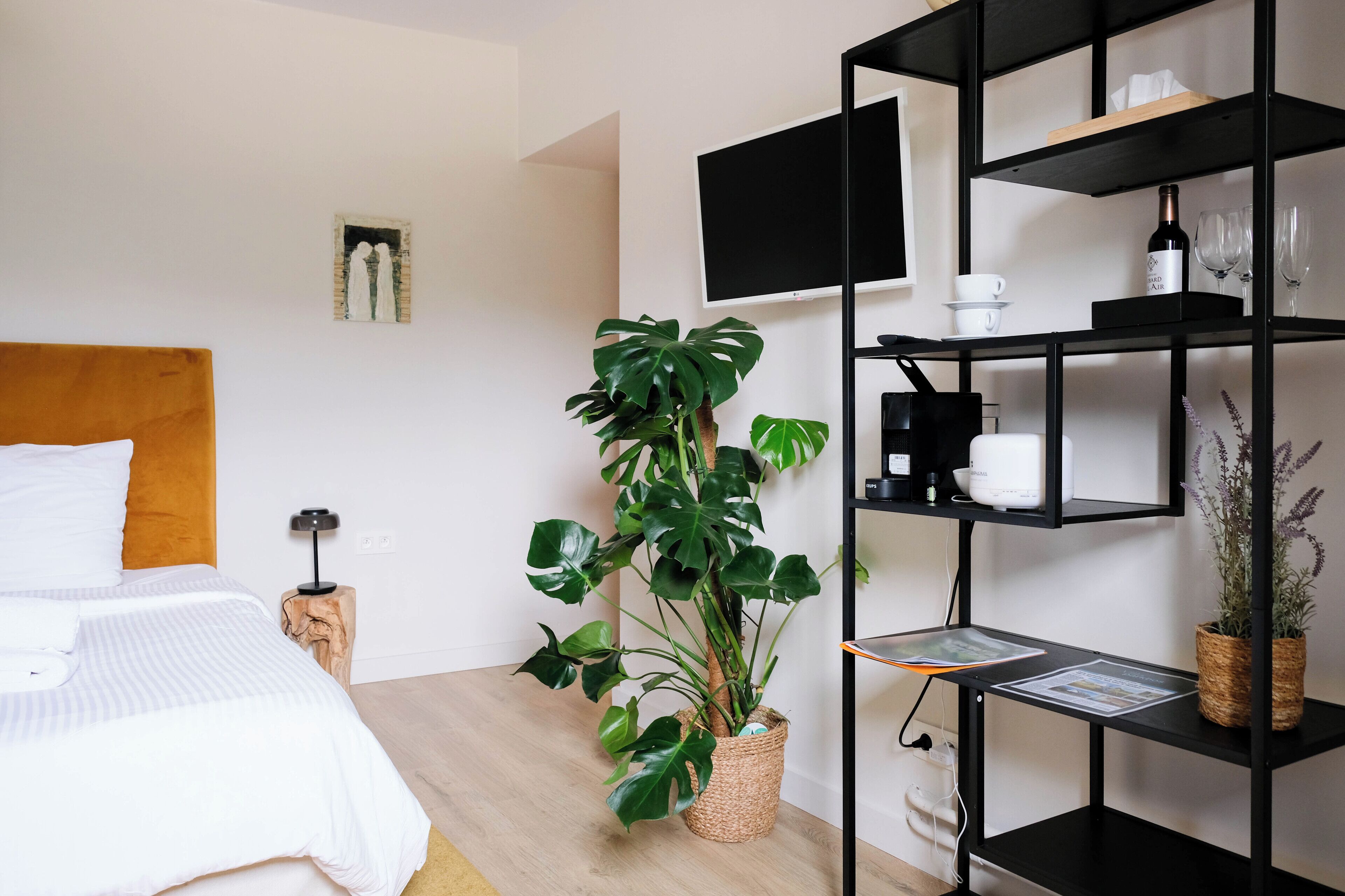 Une chambre d’hôtel moderne avec un lit, une grande plante en pot, un téléviseur noir fixé au mur et une étagère noire contenant divers objets.