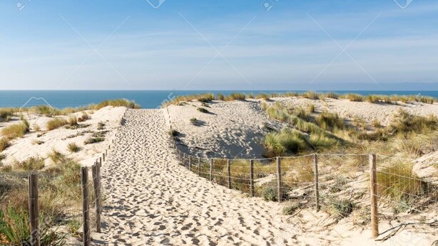 Un sentier de sable qui longe la plage et mène aux dunes, offrant une vue dégagée sur l’océan.