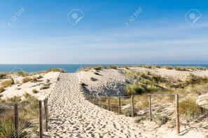 Un camino de arena que conduce a dunas con vista despejada al océano.