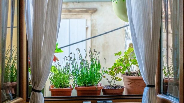 Apartment, 1 Bedroom | Living area - Pepiso Suite for Two (Milna)