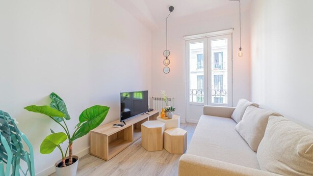 A modern living room with a TV, sofa, and potted plant.