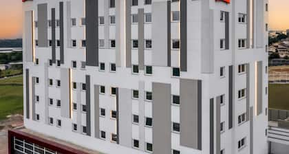 Ibis Aruja