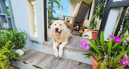 Modern Chic 1BR Apt w/ W/D & Island Fruit Garden