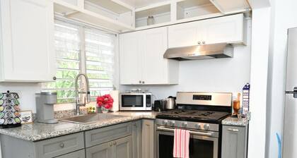 Modern Chic 1BR Apt w/ W/D & Island Fruit Garden