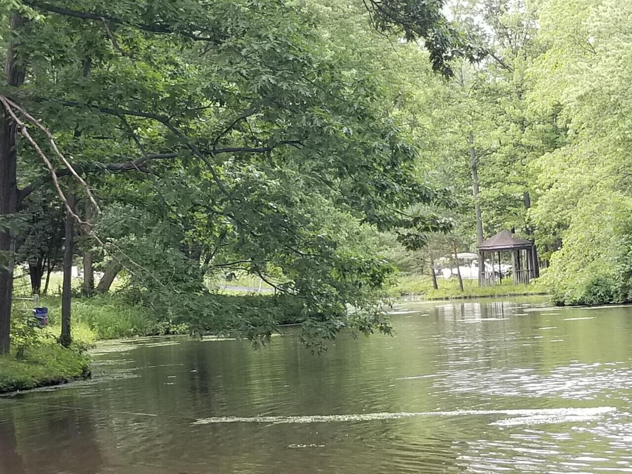 Een rustig rivierzicht met een kiosk en weelderige begroeiing.