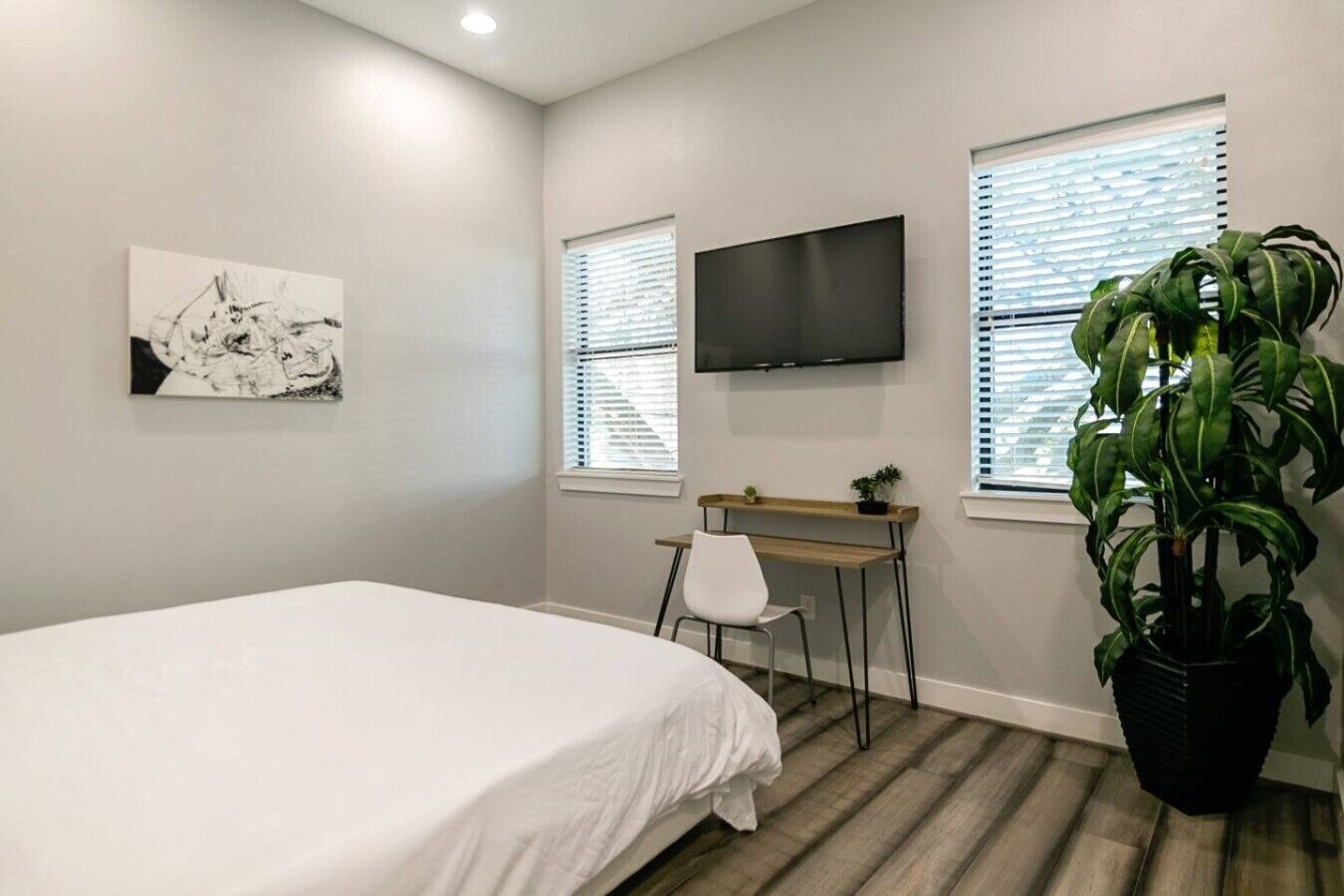 A bedroom with a bed, a desk, a chair, a TV, and a large plant.