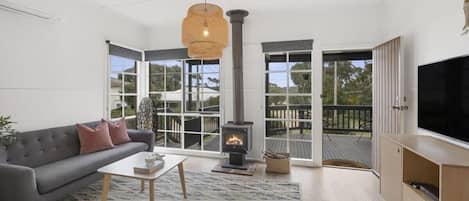 TV, fireplace