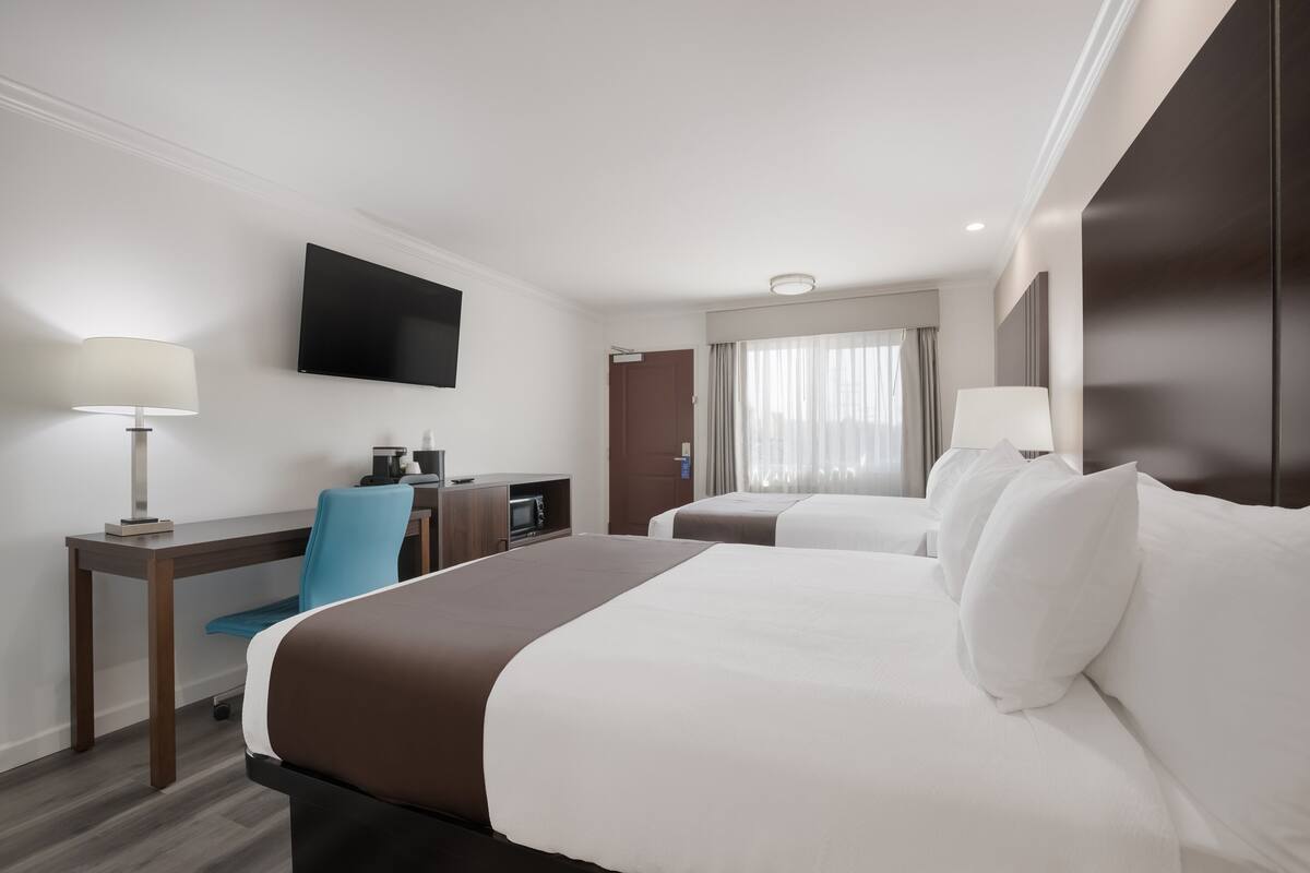 Luxury Room | Free WiFi