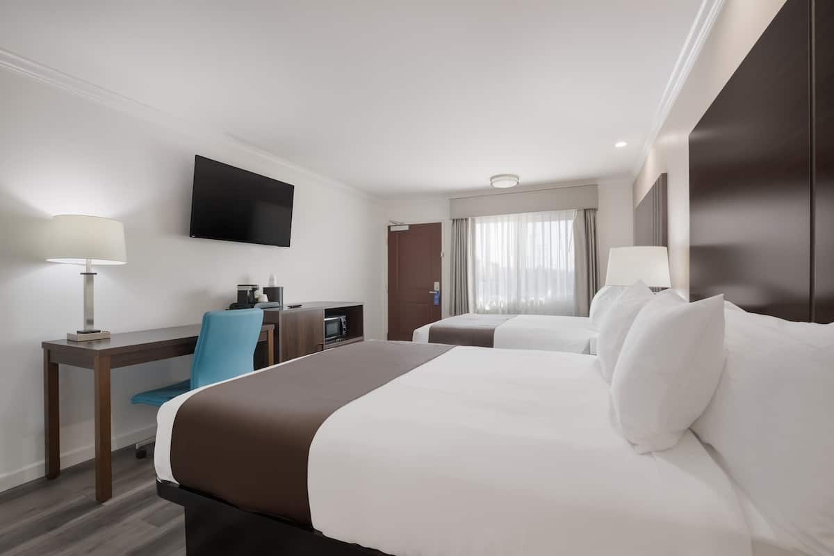 Luxury Room | Free WiFi
