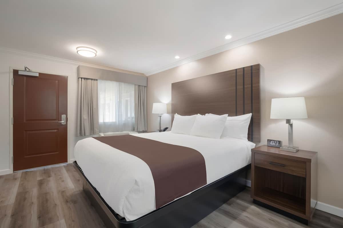 Luxury Room | Free WiFi
