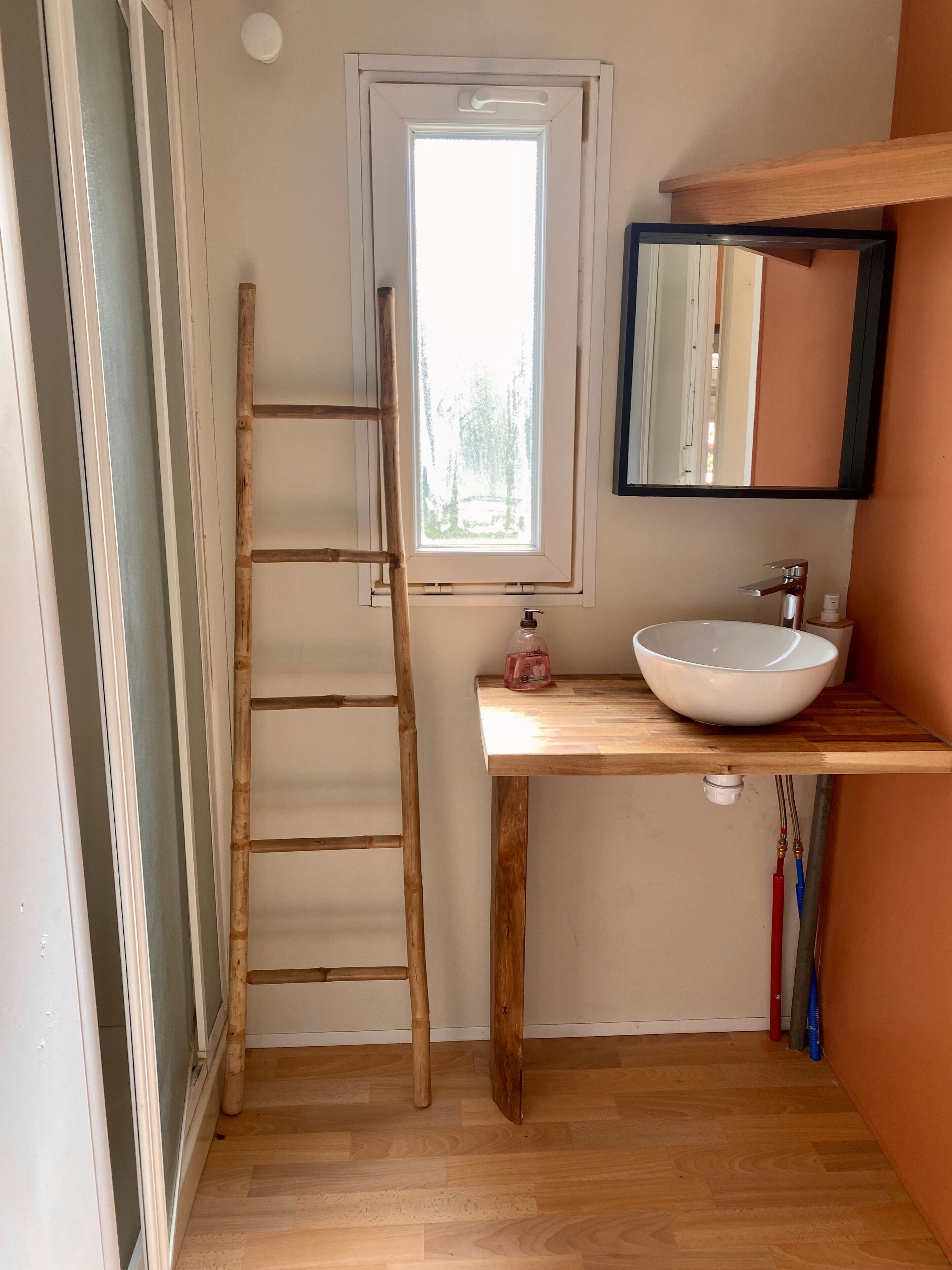 Regadera y papel de baño 