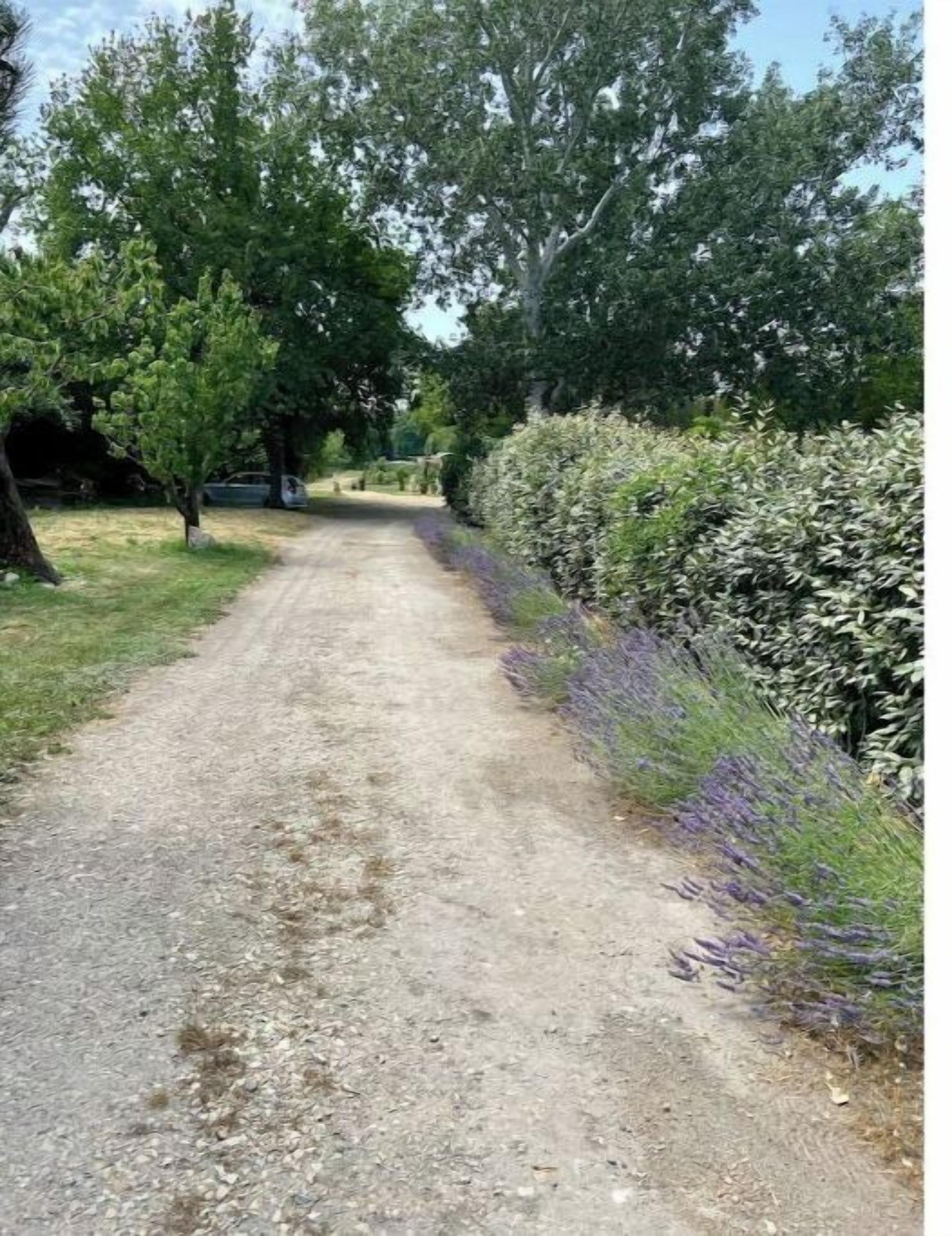 Un sendero de grava bordeado por árboles y arbustos que conduce a un estacionamiento.