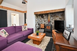 TV, fireplace, books