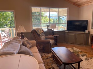 Smart TV, fireplace, books, computer monitors