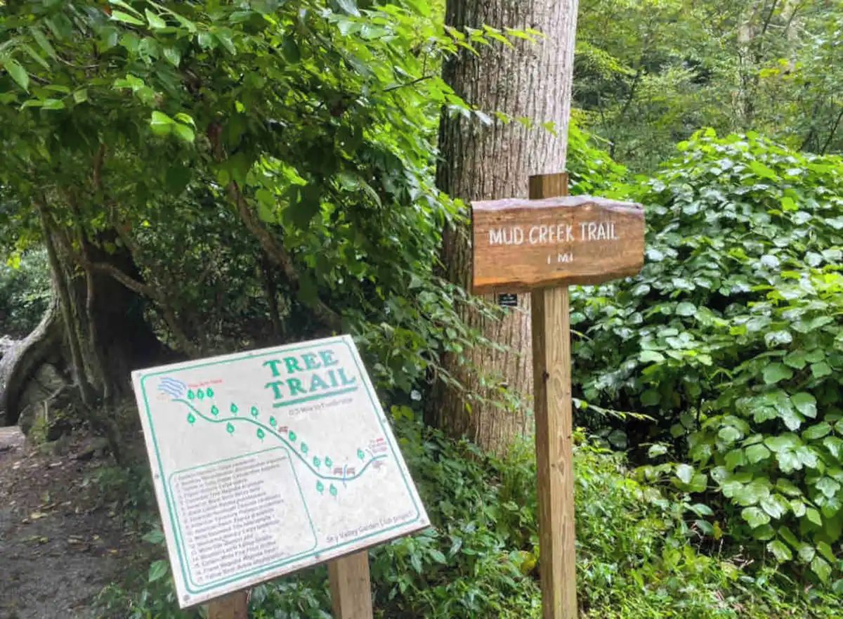 A trail sign in a forested area with a map and information about the Mud Creek Trail.