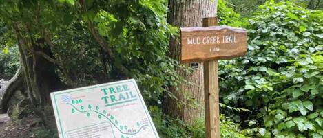 A trail sign in a forested area with a map and information about the Mud Creek Trail.