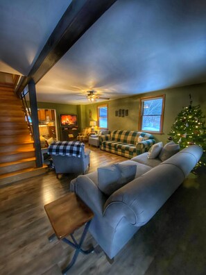 TV, video games, DVD player, books