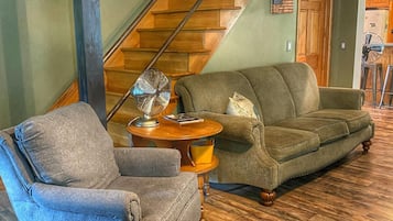 TV, video games, DVD player, books