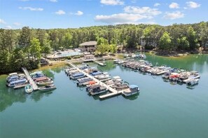 Boats dock at the marina surrounded by a lush forest.