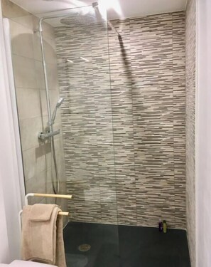 Shower, hair dryer