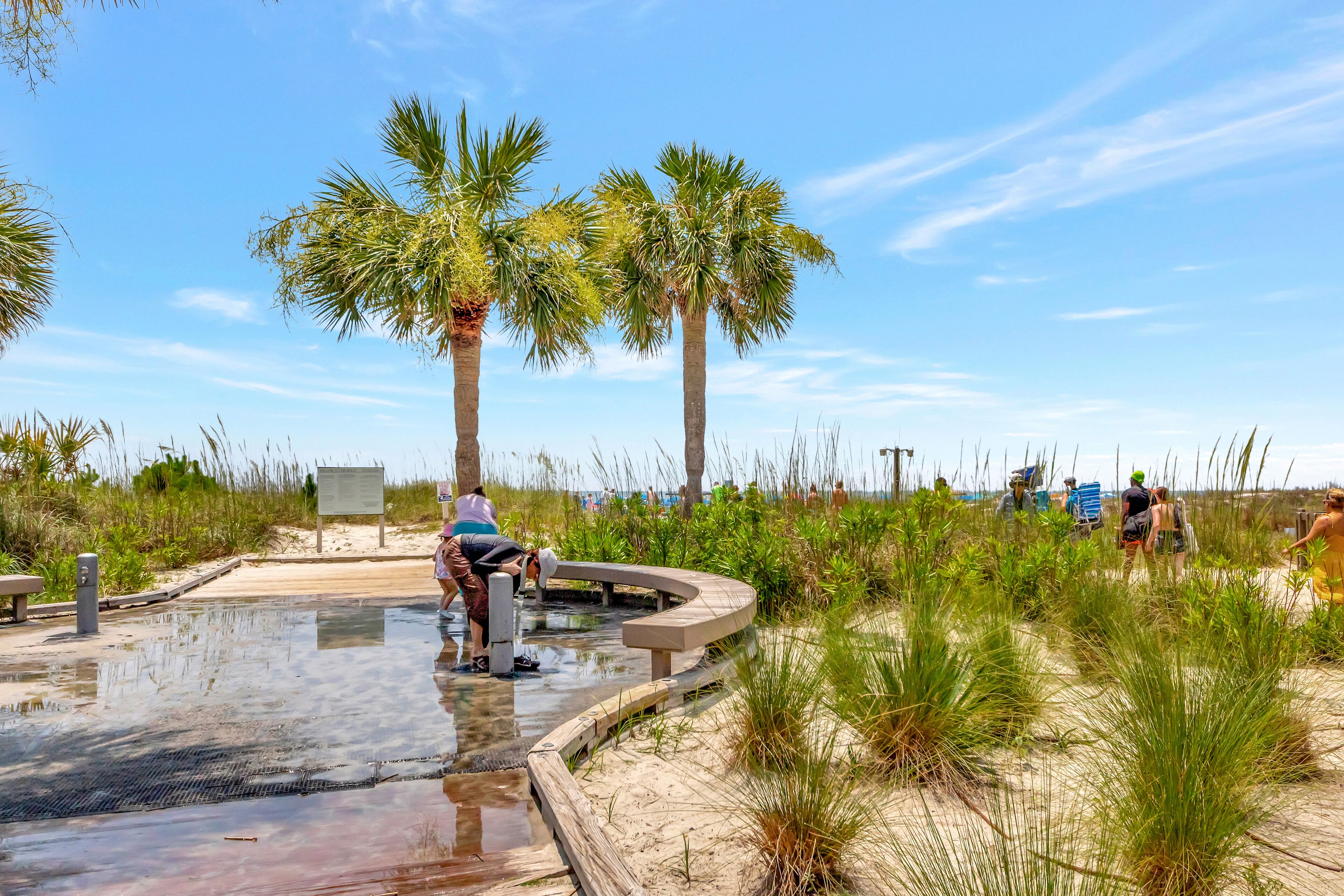 A water feature with a curved wooden walkway, surrounded by tall grasses and palm trees.