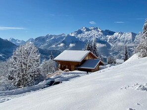 Exterior - Chalet "Lucyvon" exceptional view (Manigod)