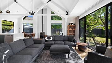 Smart TV, fireplace, books, stereo