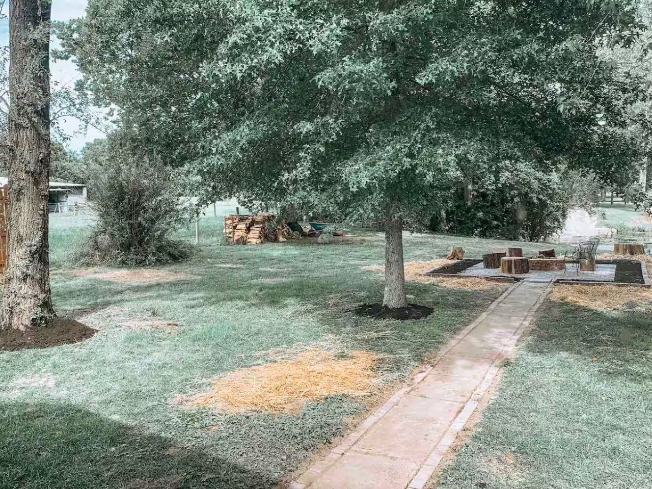 Un espacio al aire libre con césped, un árbol, un brasero y un sendero.