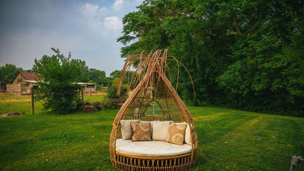 A wicker swing chair with cushions in a grassy outdoor area. - LAKEHOUSE/HOT TUB/8 MILES TO DOWNTOWN/ON 60 ACRES (Indianapolis)