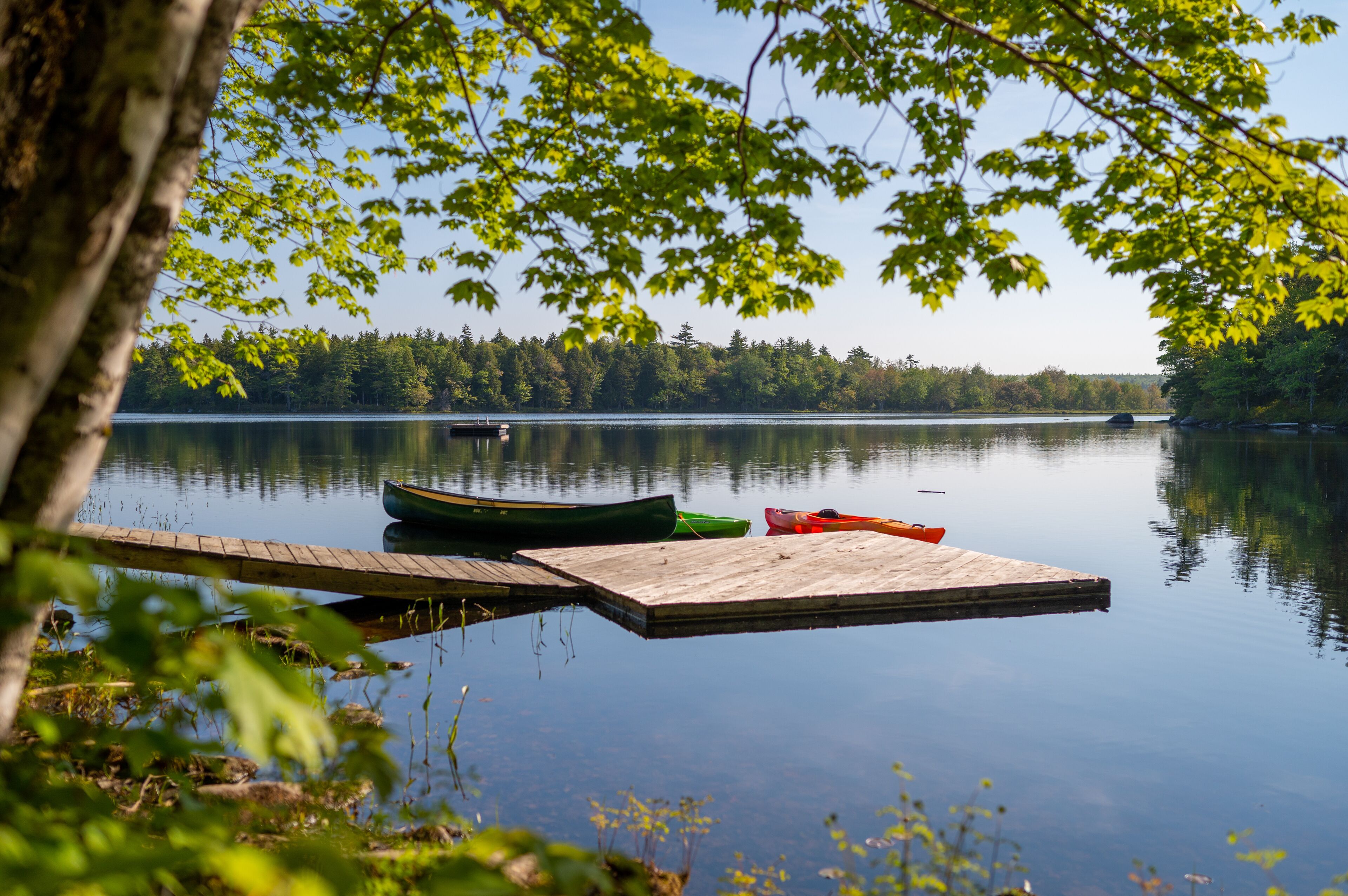 A calm lake with a wooden dock and two boats, surrounded by dense trees.